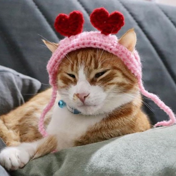 Crochet Beanie for Cat - Beanies for Cats