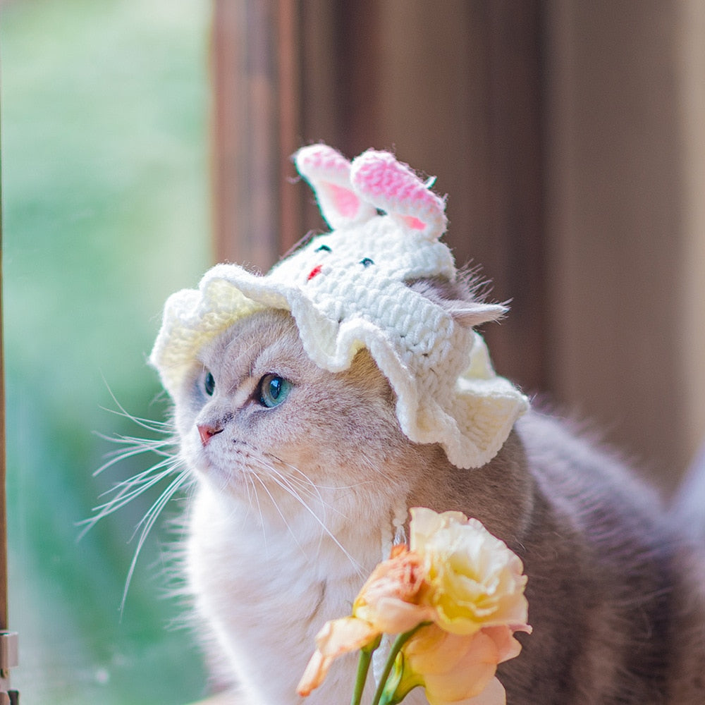 Crochet Cat Beanie - Beanies for Cats