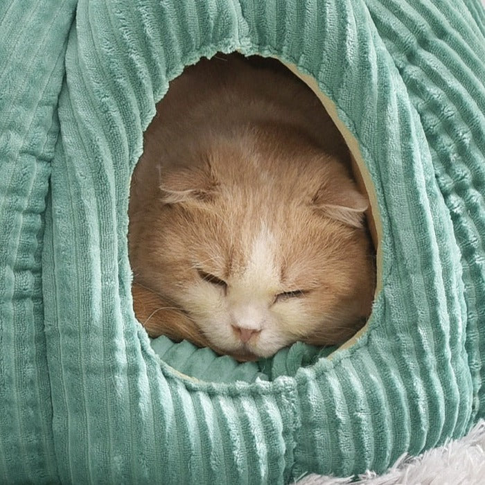 Cushioned Cat Bed