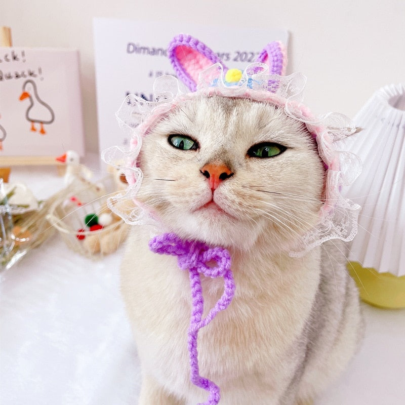 Cute Beanie Hat for Cats - Beanies for Cats