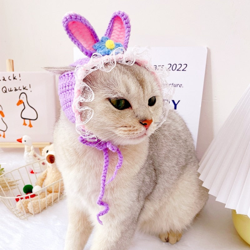 Cute Beanie Hat for Cats - Beanies for Cats