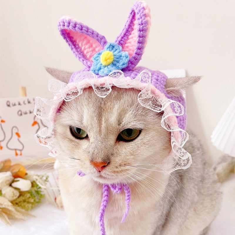 Cute Beanie Hat for Cats - Beanies for Cats
