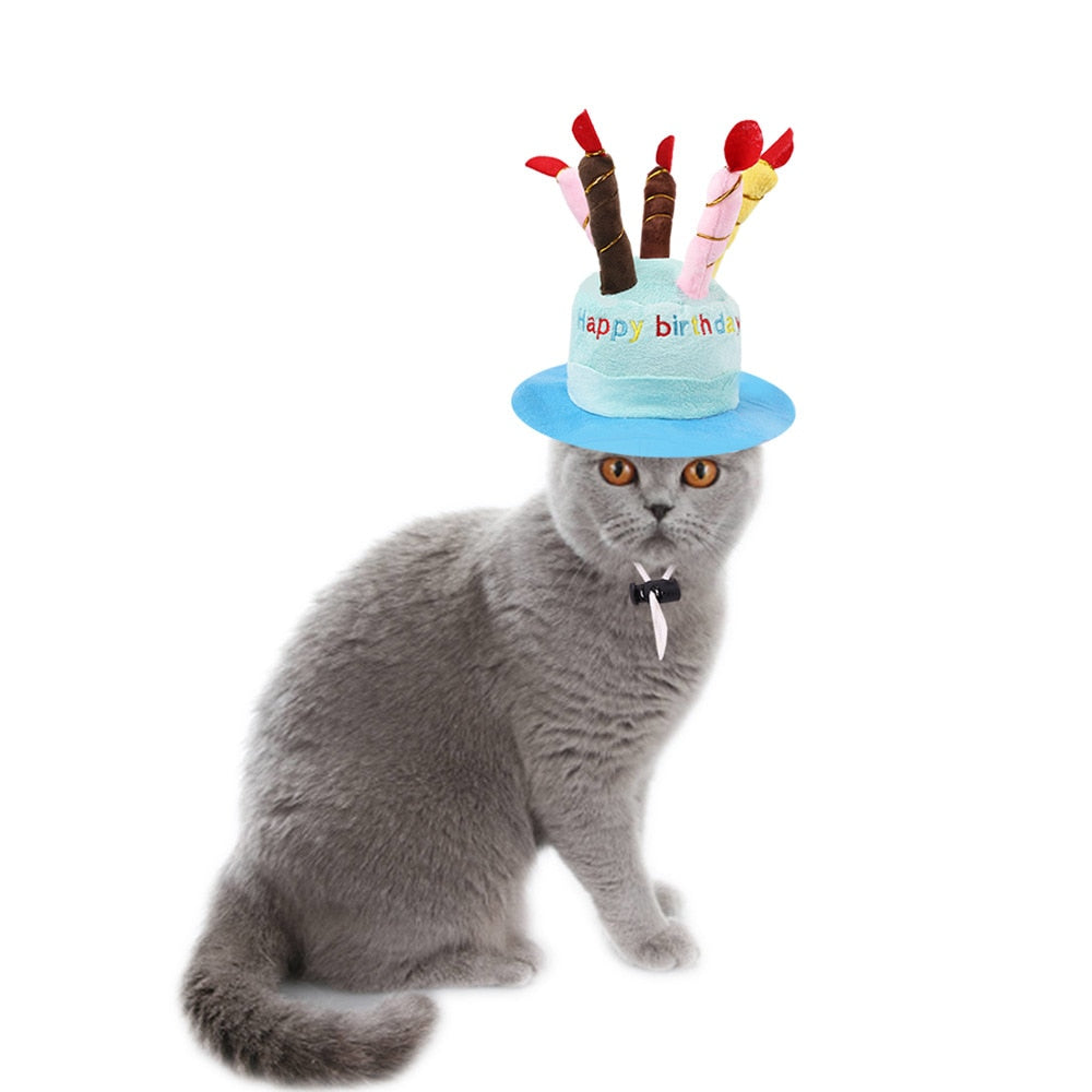 Cute Birthday Hat for Cats - Hat for Cats