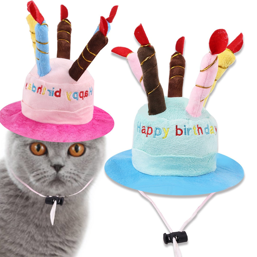 Cute Birthday Hat for Cats - Hat for Cats