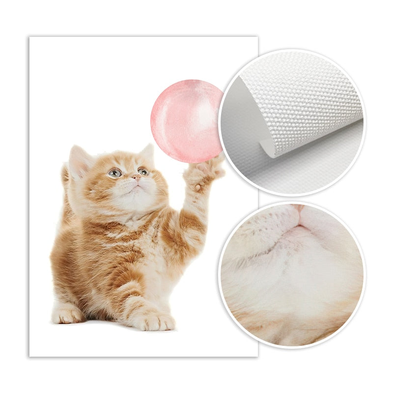 Cute Cat Posters - Cat poster