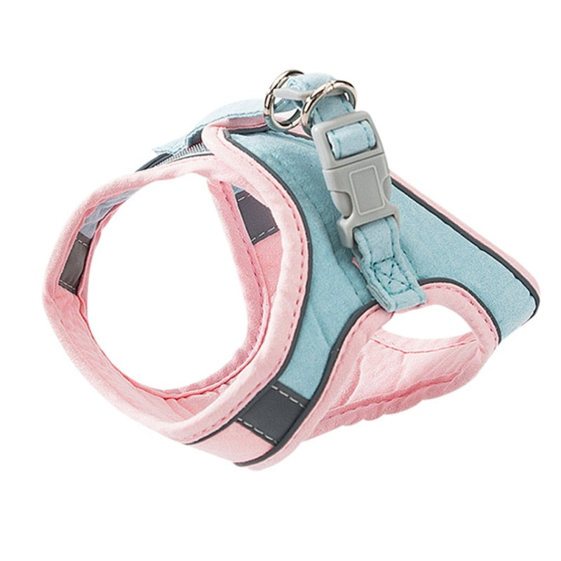 Cute Cat Vest Harness - Blue / S - cat harness leash