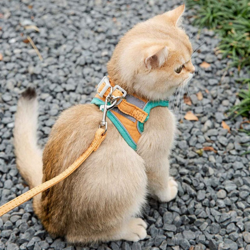 Cute Cat Vest Harness - cat harness leash