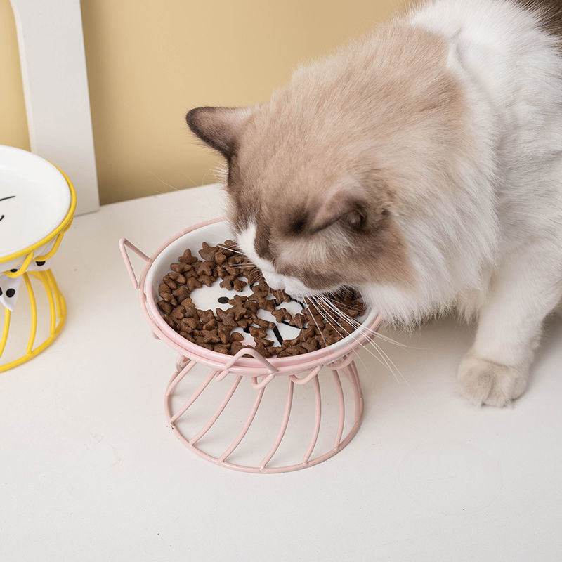 Cute Ceramic Cat Bowl - Cat Bowls