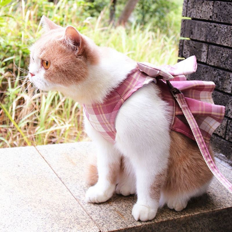 Cute Checkered Cat Dress