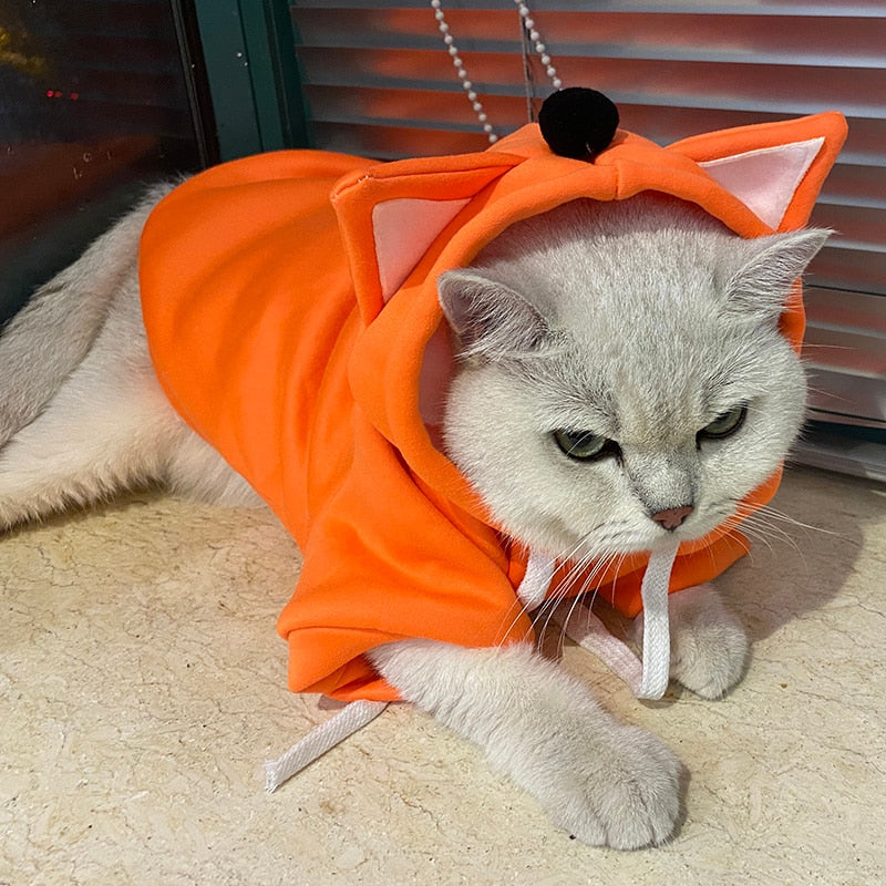 Cute Hoodie Clothes for Cats - Clothes for cats