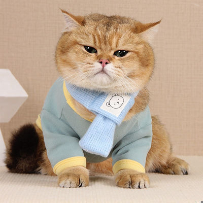 Cute Jacket Clothes for Cats - Blue / XS - Clothes for cats