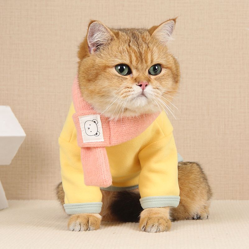 Cute Jacket Clothes for Cats - Yellow / XS - Clothes for