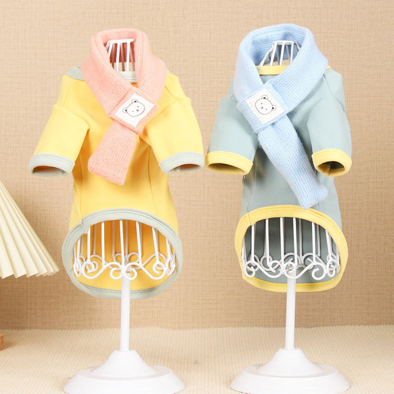 Cute Jacket Clothes for Cats - Clothes for cats