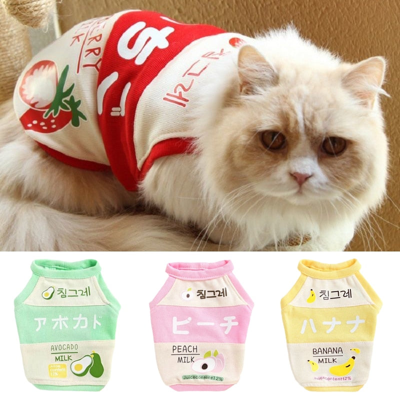 Cute Milk Clothes for Cats - Clothes for cats