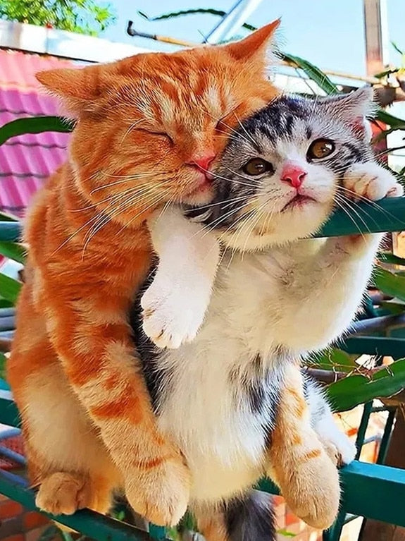 Cute Orange Cat Diamond Painting - Sky Blue / Square Drill