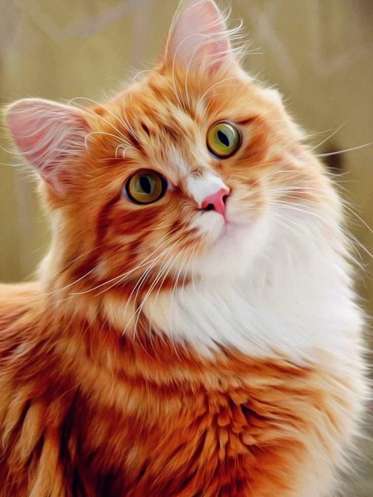 Cute Orange Cat Diamond Painting - Orange / Square Drill