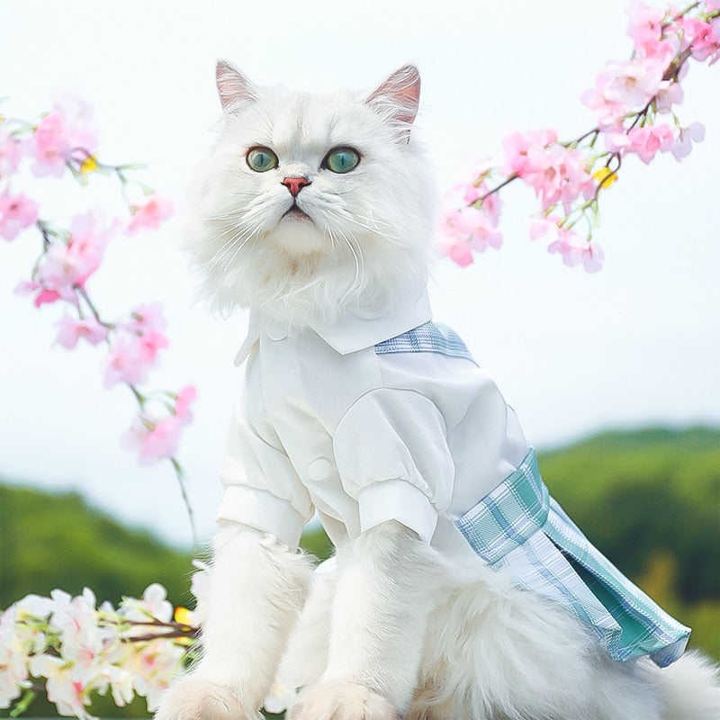 Cute Summer Clothes for Cats - Clothes for cats