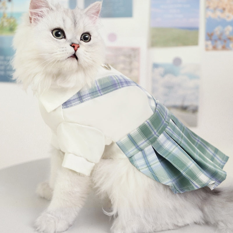 Cute Summer Clothes for Cats - Clothes for cats