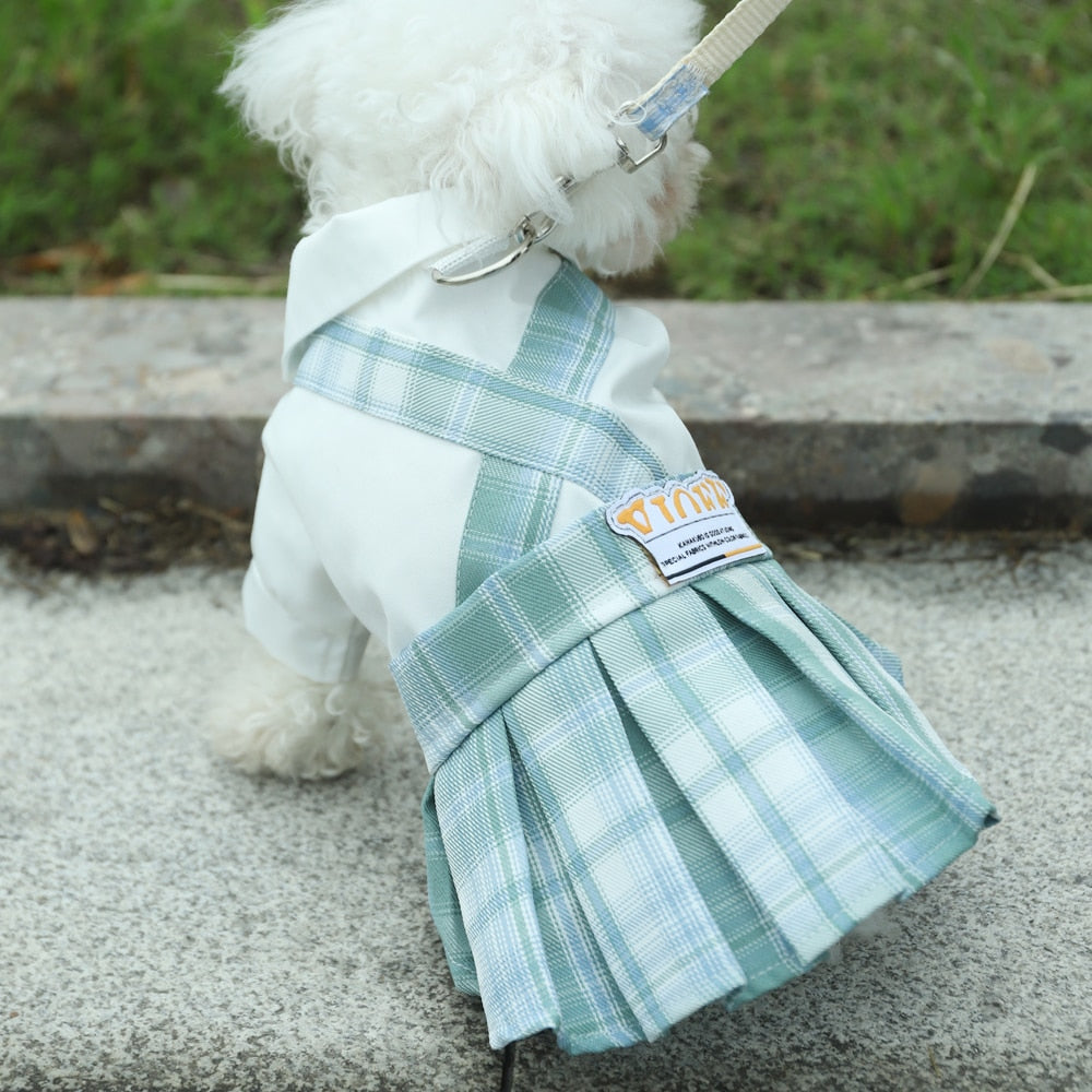 Cute Summer Clothes for Cats - Clothes for cats