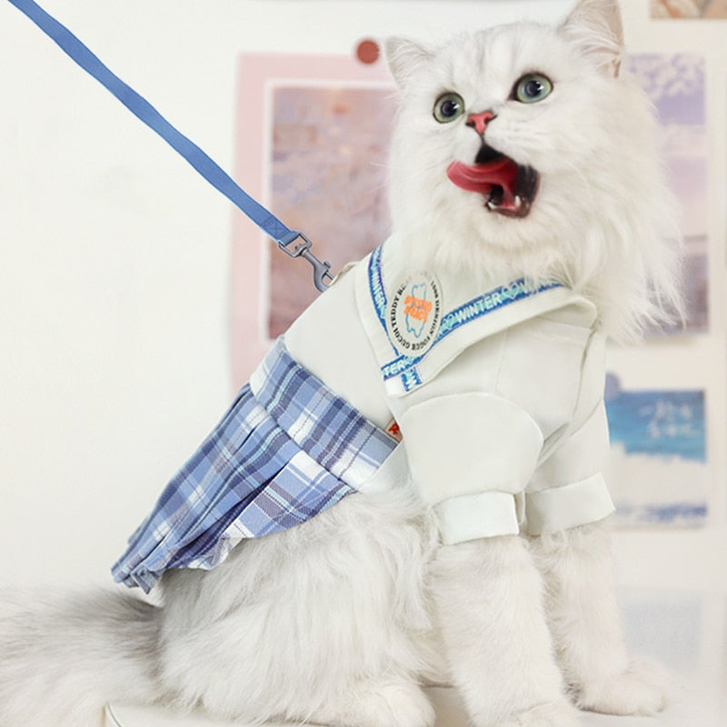 Cute Summer Clothes for Cats - Clothes for cats