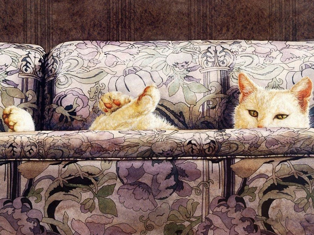 Diamond Painting Crazy Cats - White / 20x30cm-Round Drill