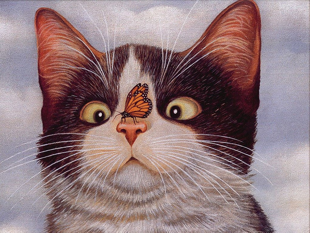 Diamond Painting Crazy Cats - Blue / 20x30cm-Round Drill