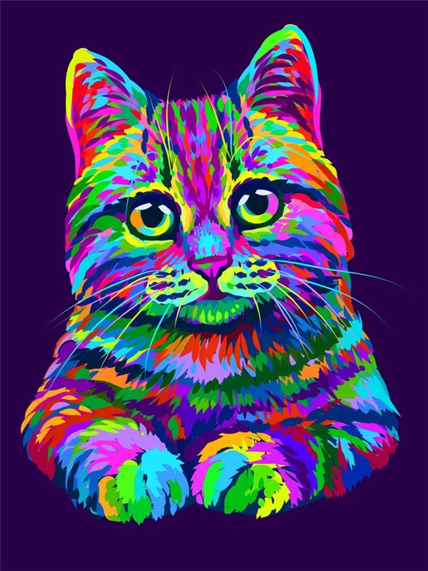 Diamond Painting Rainbow Cat - Rainbow / Full Square 20X30cm