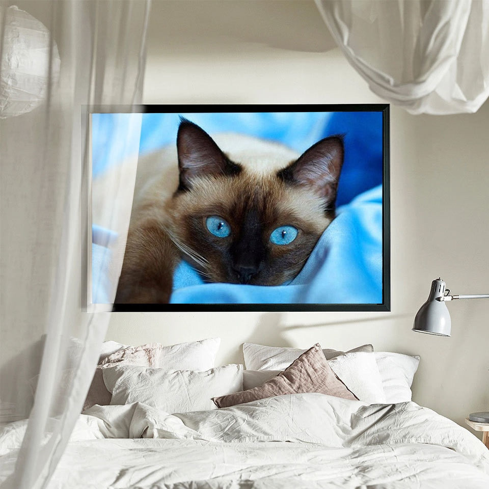 Diamond Painting Siamese Cat