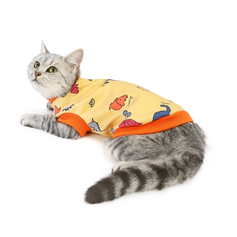 Dinosaur Clothes for Cats - Clothes for cats