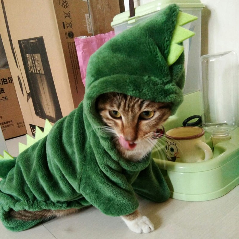 Dinosaur Costume for Cats