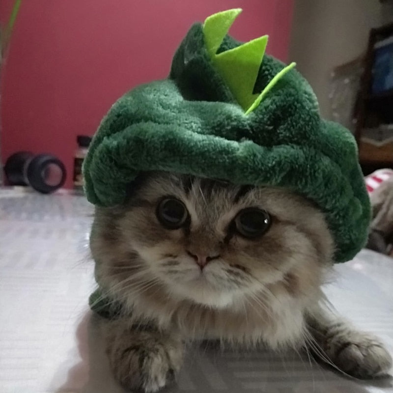 Dinosaur Costume for Cats