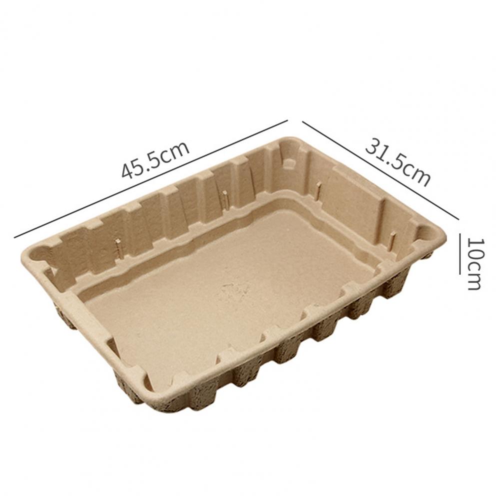 Disposable Cat Litter Box - Cat litter Box