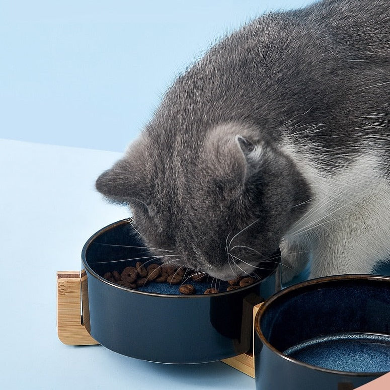 Double Cat Bowl - Cat Bowls