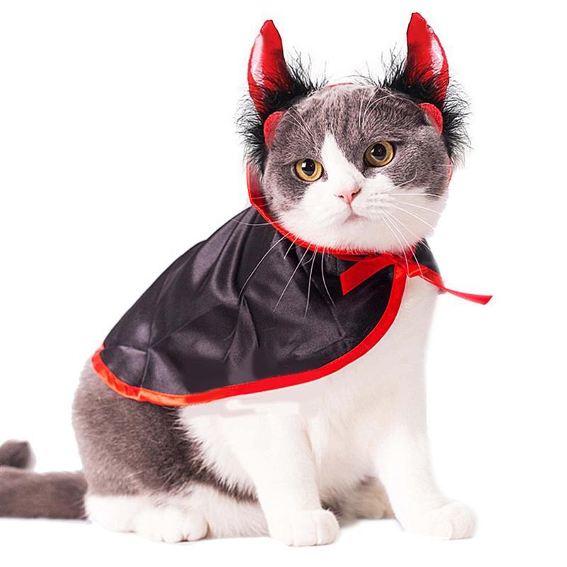 Dracula Costume for Cat