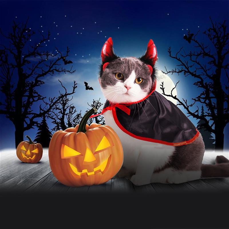 Dracula Costume for Cat
