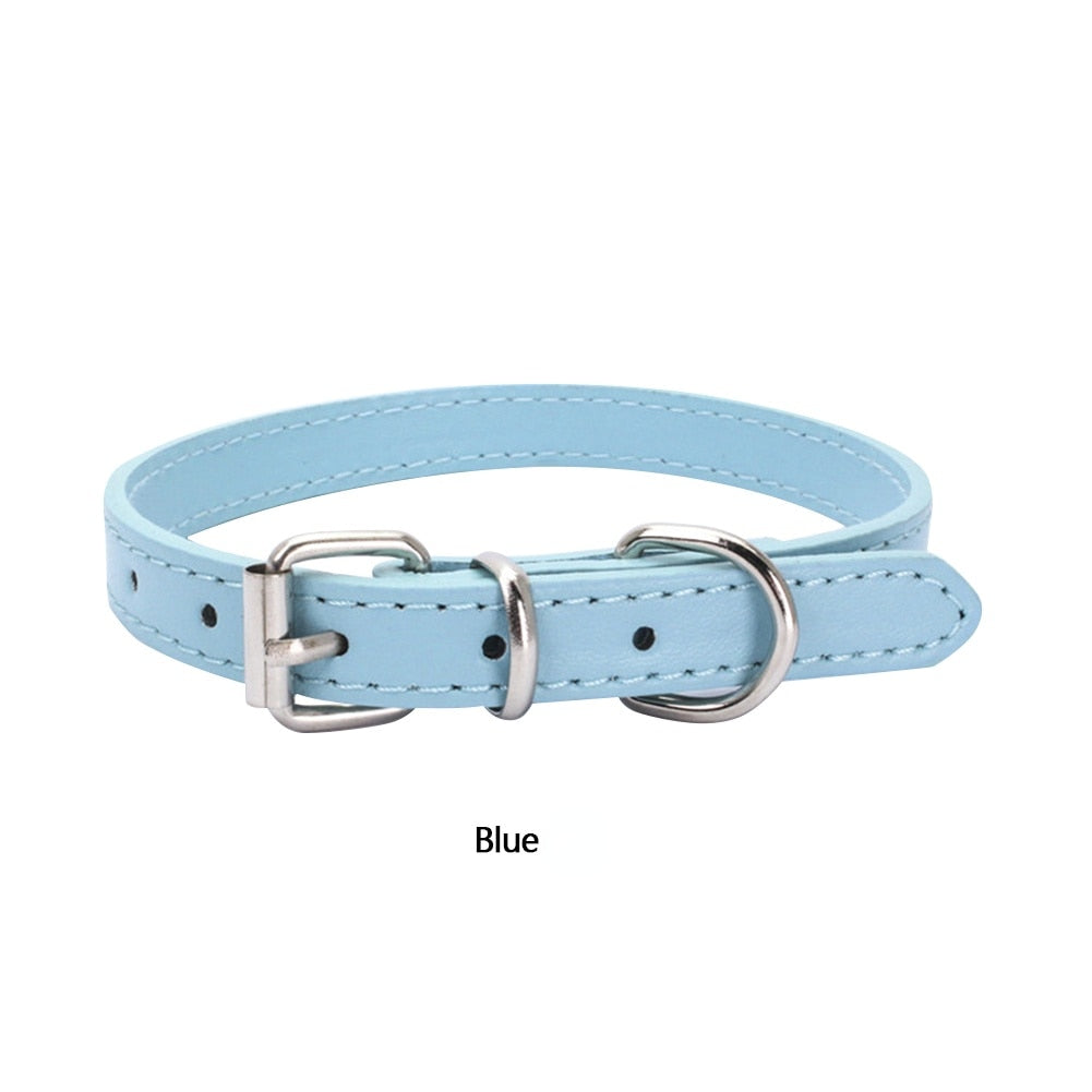 Durable Cat Collars - Blue / 30cm - Cat collars