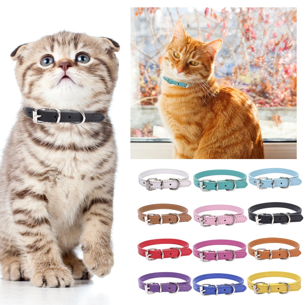 Durable Cat Collars - Cat collars