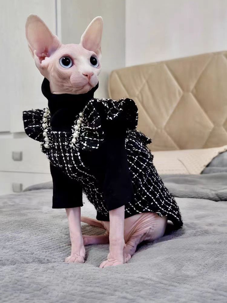 Elegant Black Clothes for Cats - S - Clothes for cats