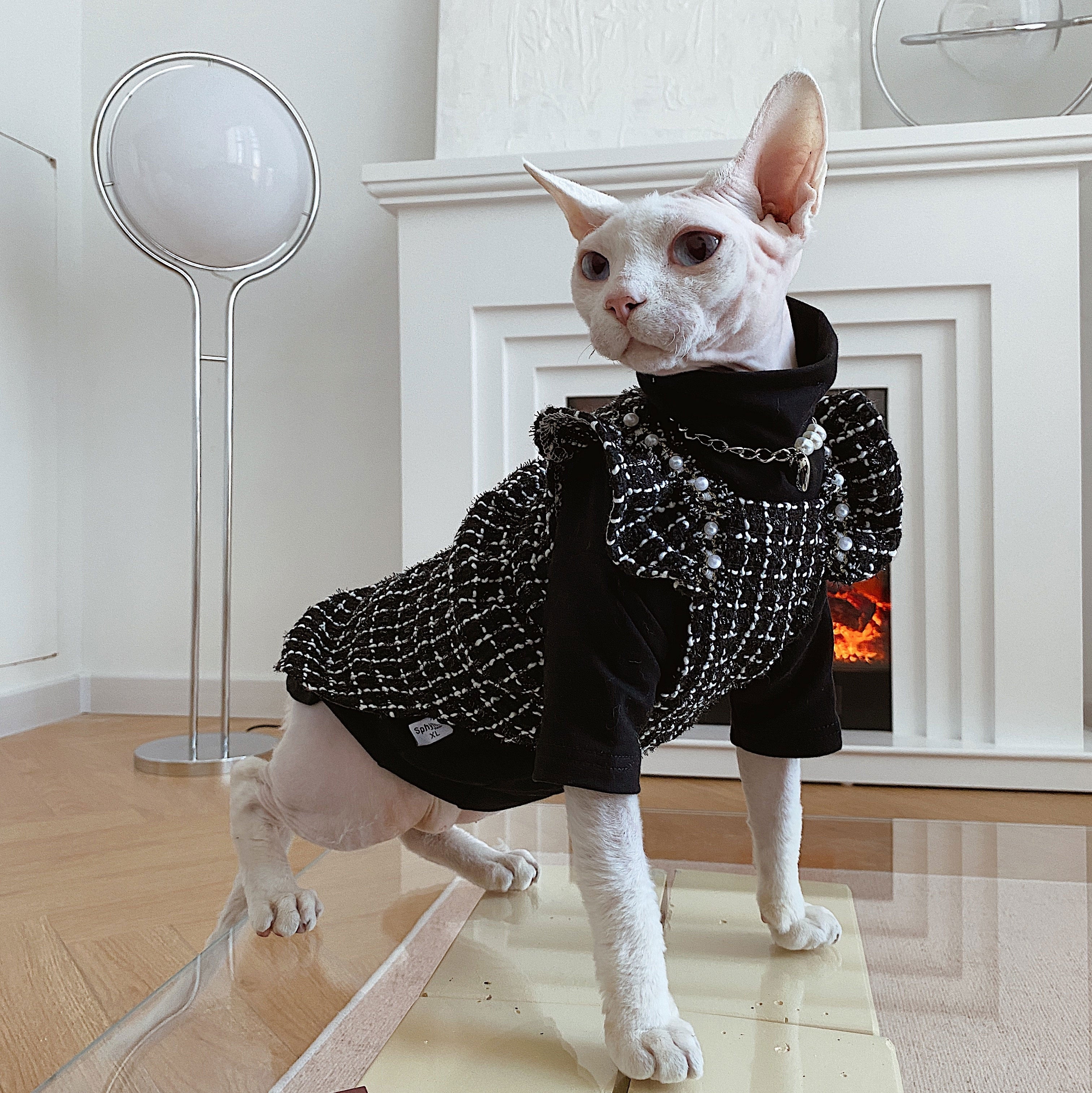 Elegant Black Clothes for Cats - Clothes for cats