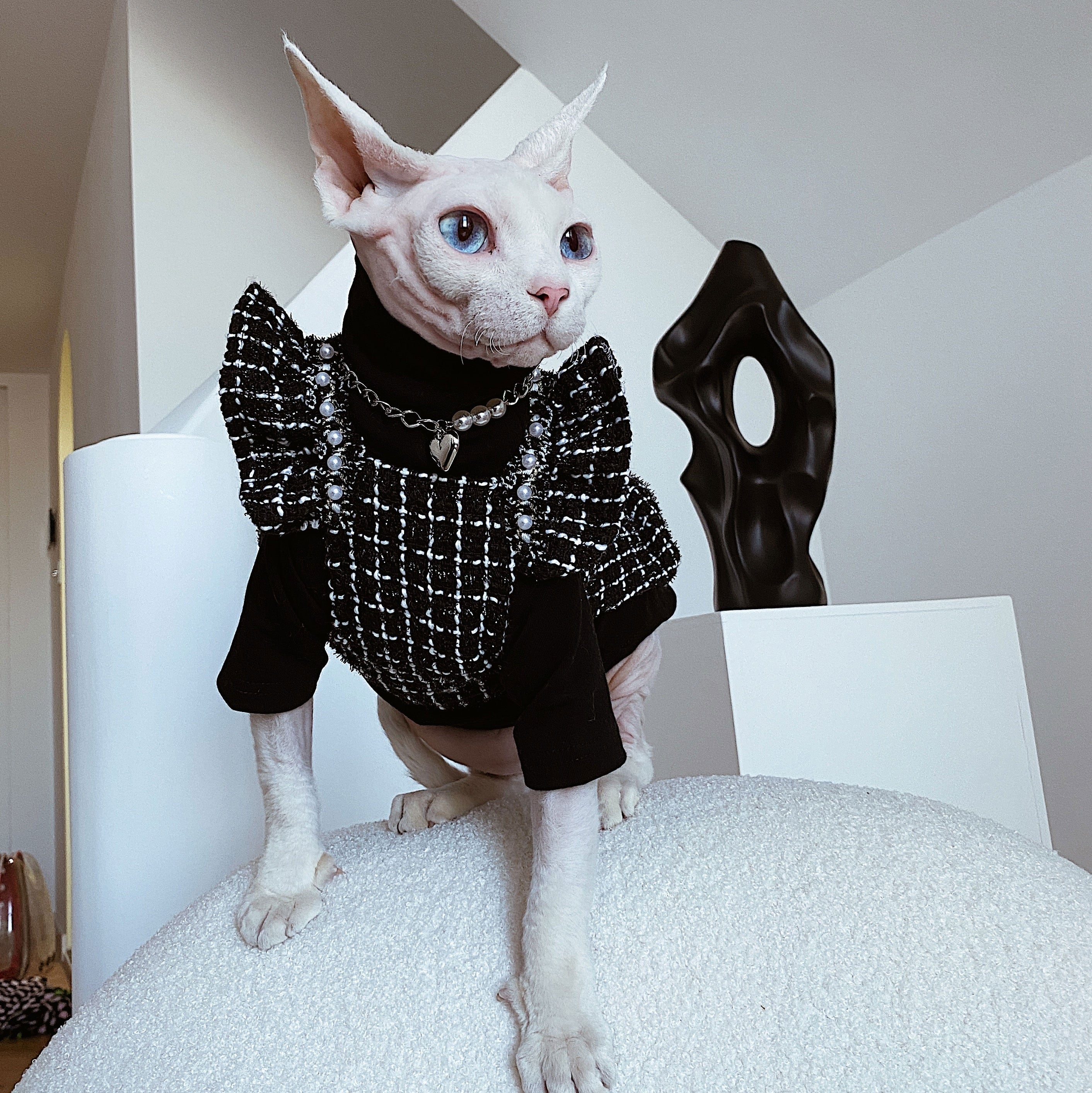 Elegant Black Clothes for Cats - Clothes for cats