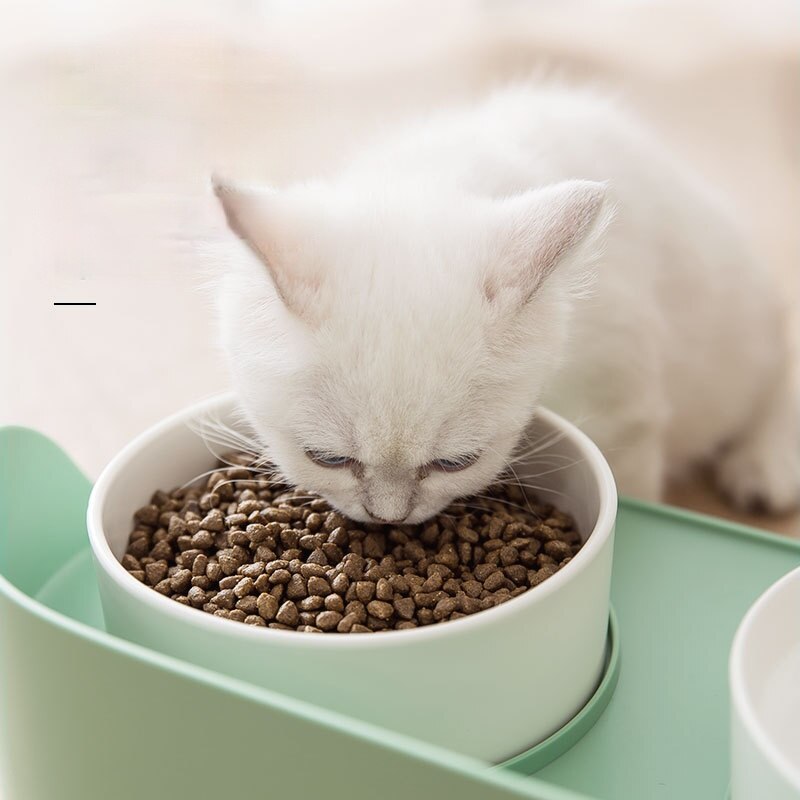 Elegant Cat Bowl - Cat Bowls