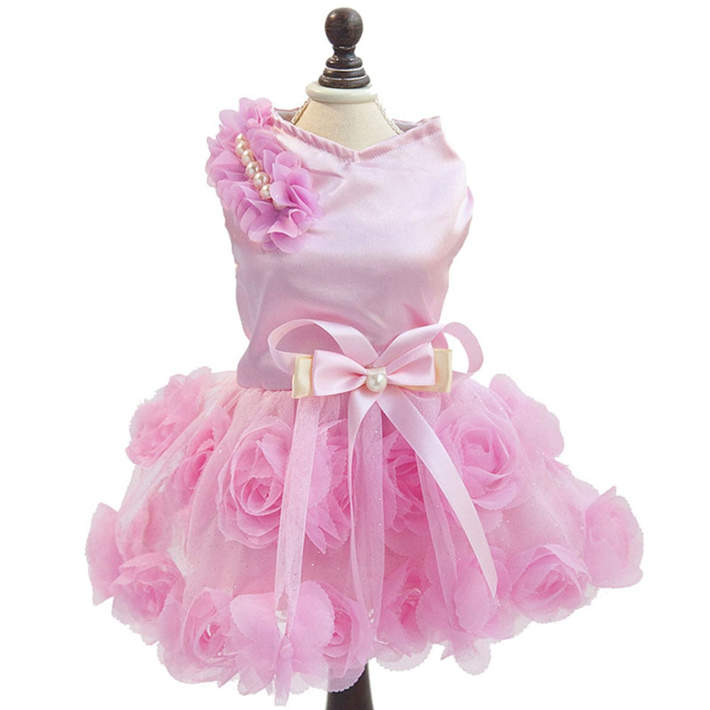 Elegant Cat Dress - Pink / XS