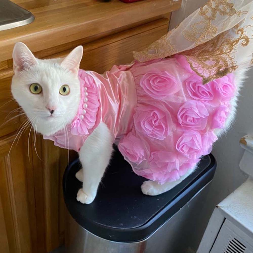 Elegant Cat Dress