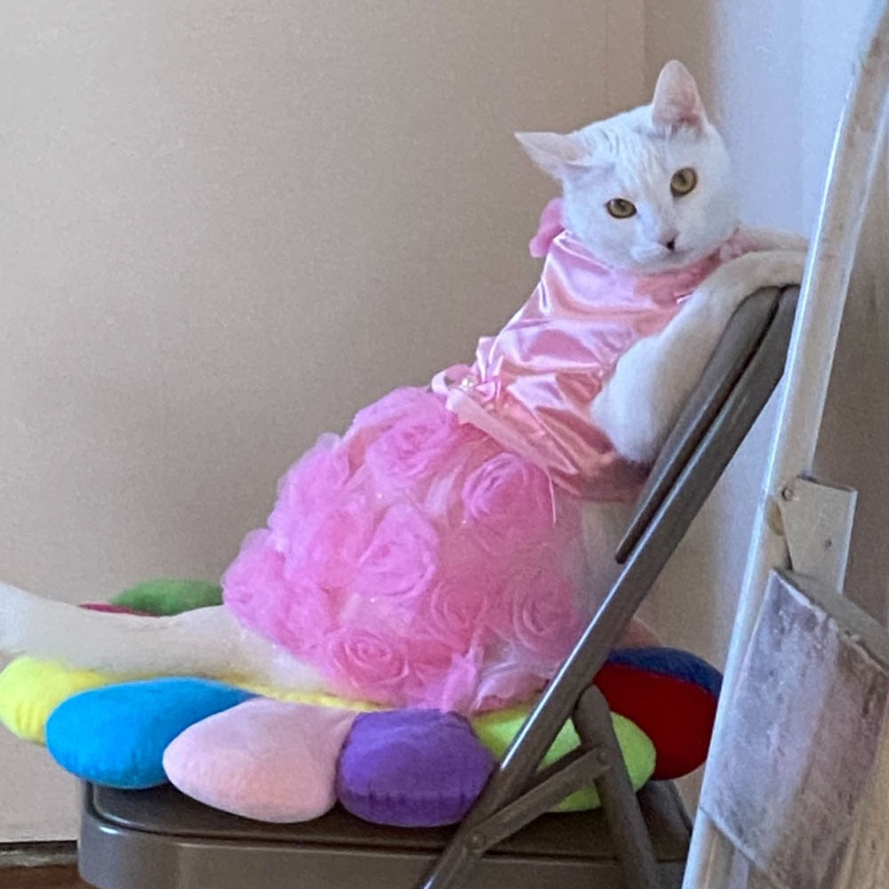 Elegant Cat Dress