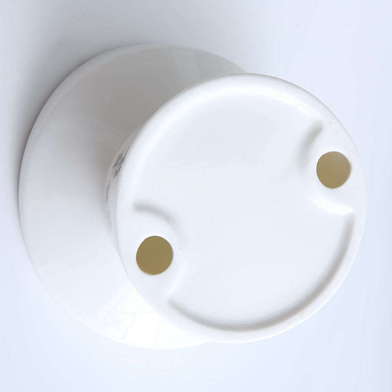 Elevated Ceramic Cat Bowl - Cat Bowls