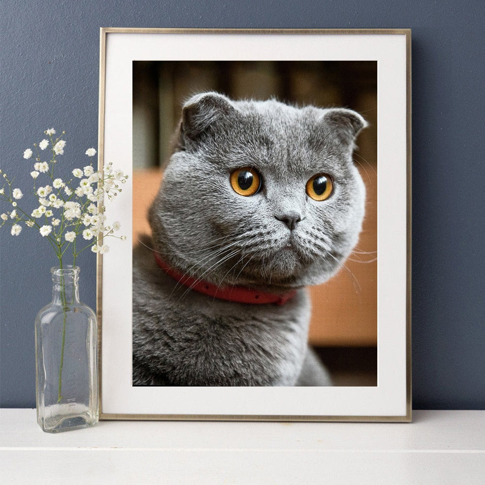 Fat Cat Diamond Painting