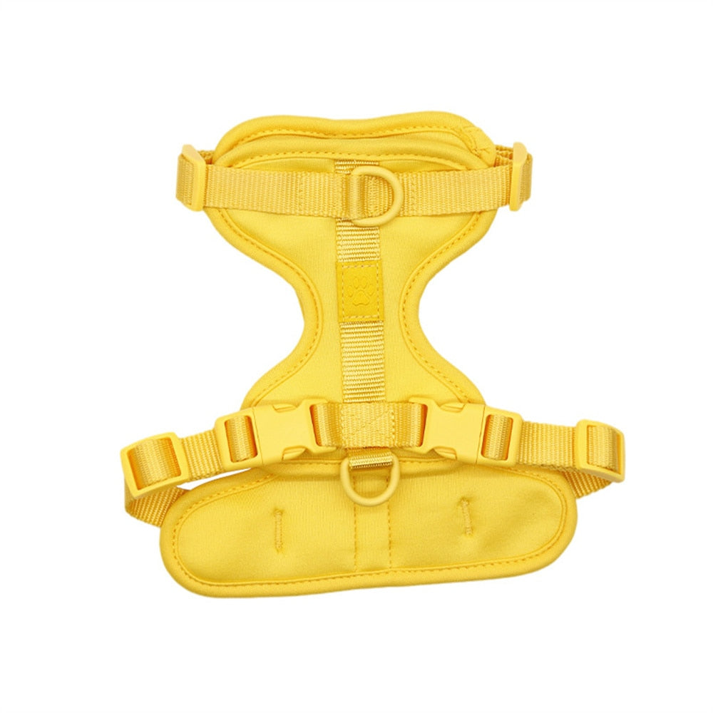 Fat Cat Harness - Yellow / XS - cat harness leash