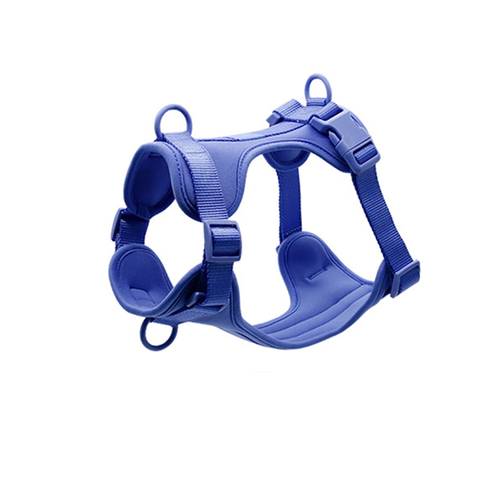 Fat Cat Harness - cat harness leash