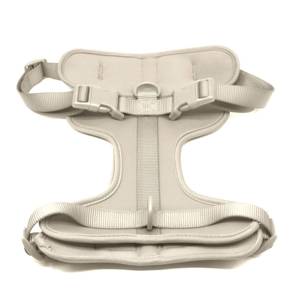 Fat Cat Harness - Gray / XS - cat harness leash