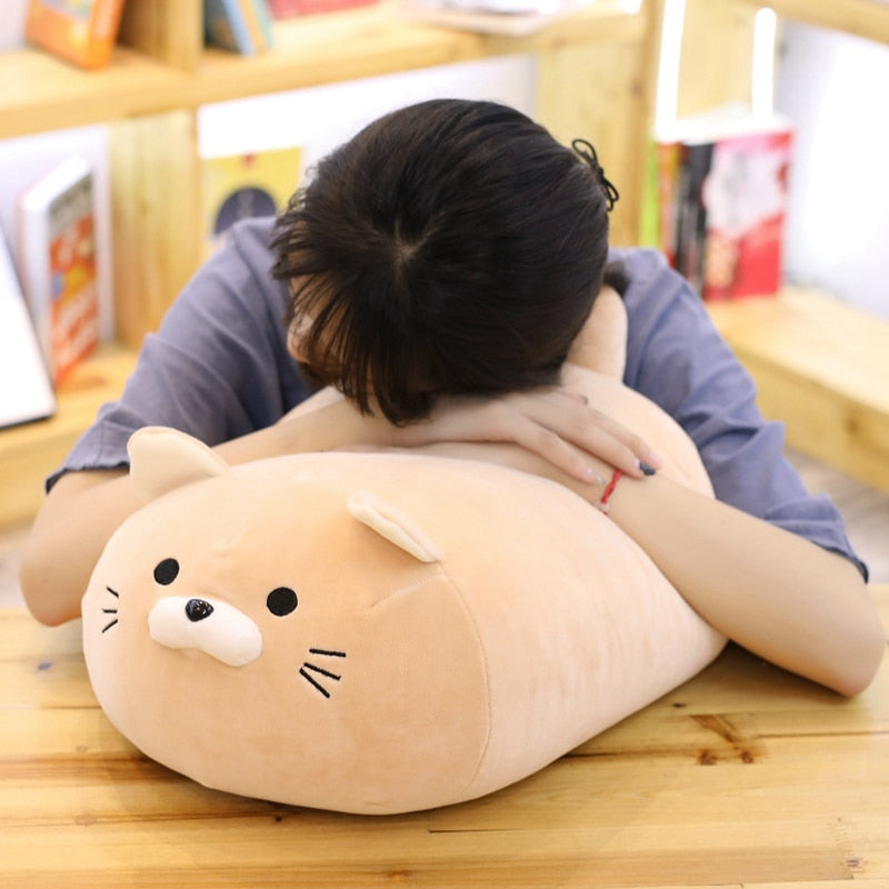 Fat Cat Pillow